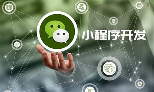 河南微諾科技程序開發(fā)報價專業(yè)嗎