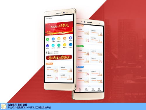 金華一站式定制軟件開發公司哪家好